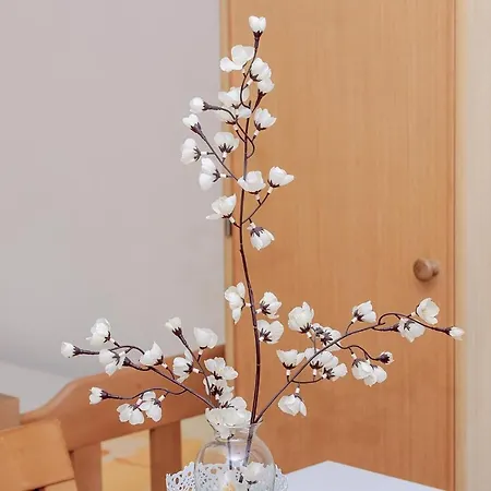 Lovely In The Perfect Location * ספליט