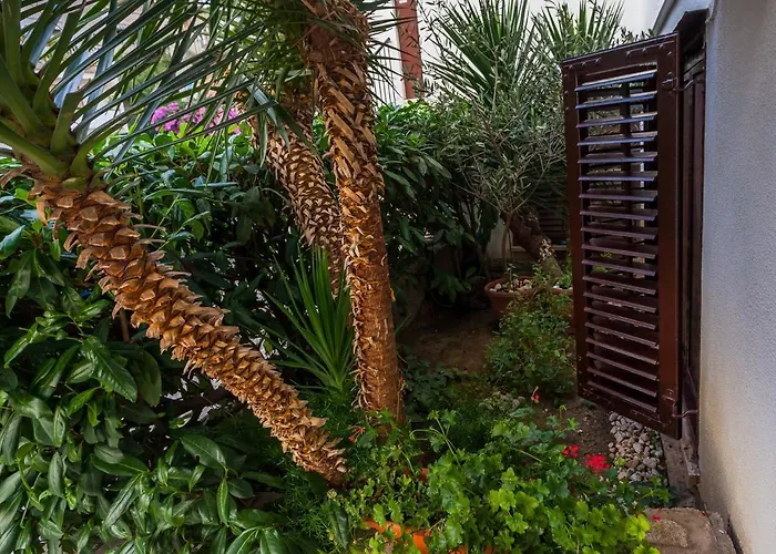 Lovely In The Perfect Location Σπλιτ